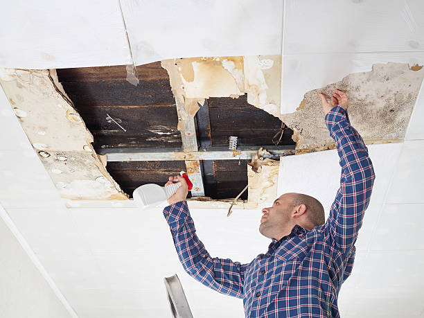 Best Water Damage & Mold Remediation  in Milwaukee, WI